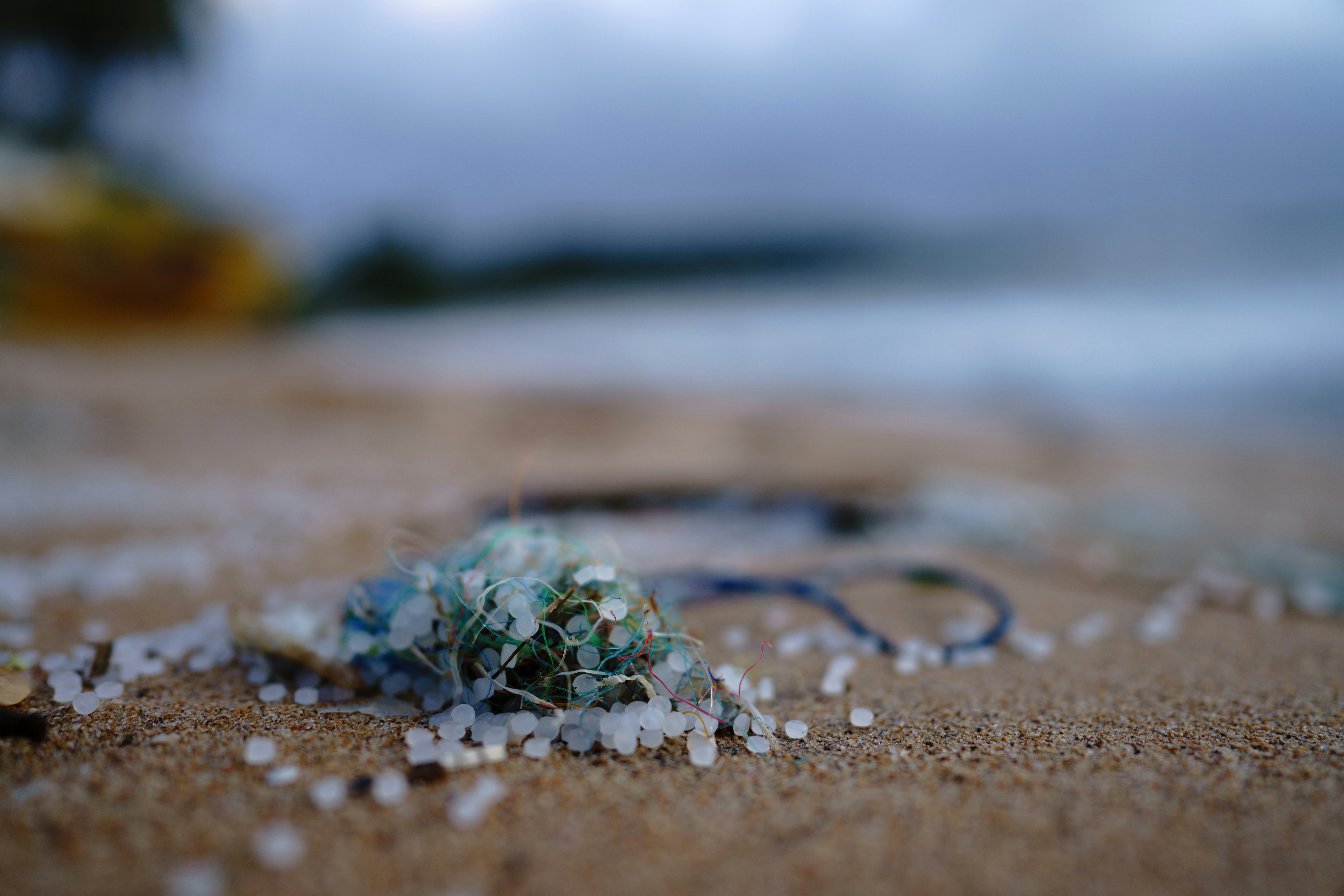 Microplastics: ENVI-commissie bespreekt ontwerpverslag en benoemt schaduwrapporteur