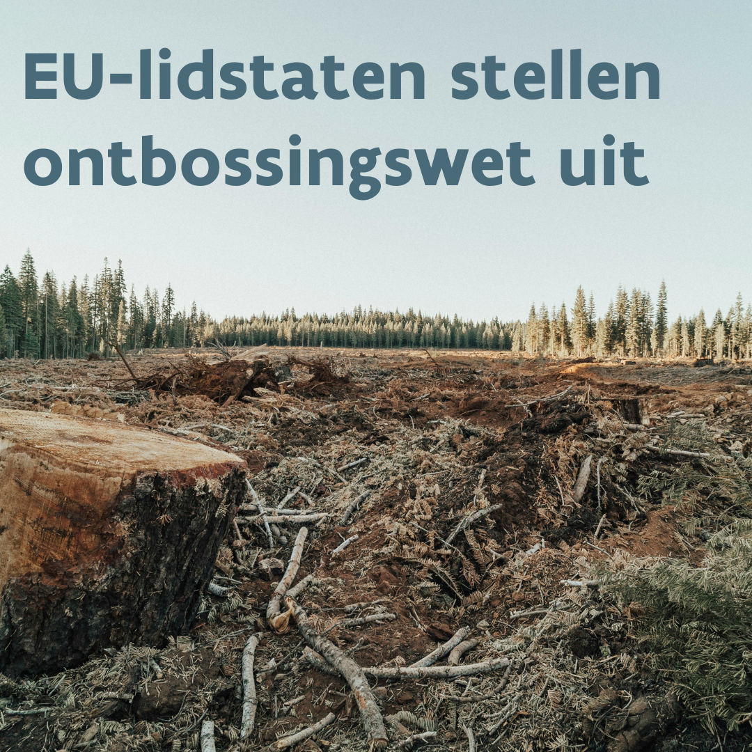 Raad zoekt extra ademruimte voor uitvoering ontbossingswet