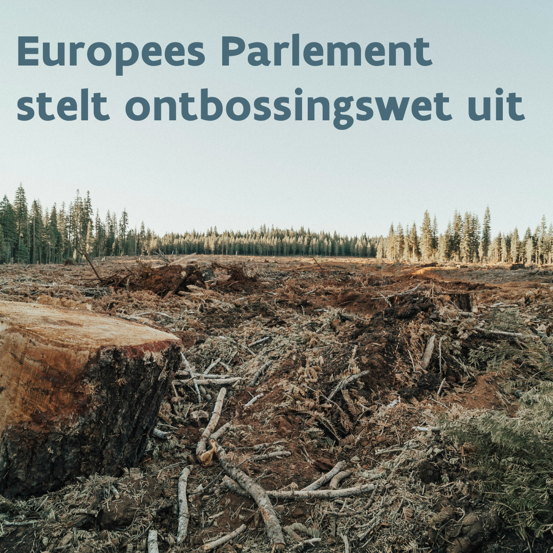 Ook Europees Parlement zoekt versoepeling in timing van ontbossingswet
