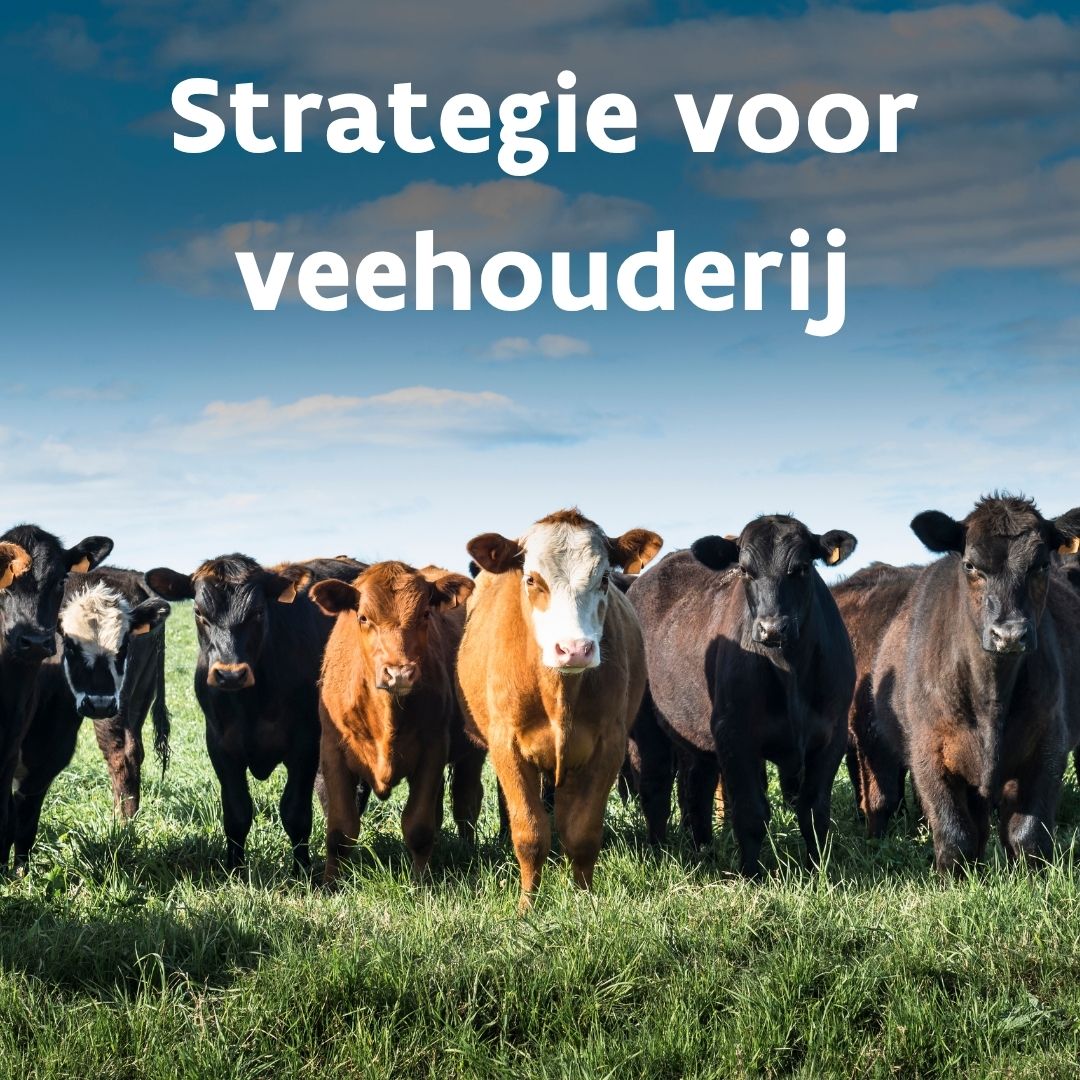 Veehouderij krijgt nieuwe Europese koers