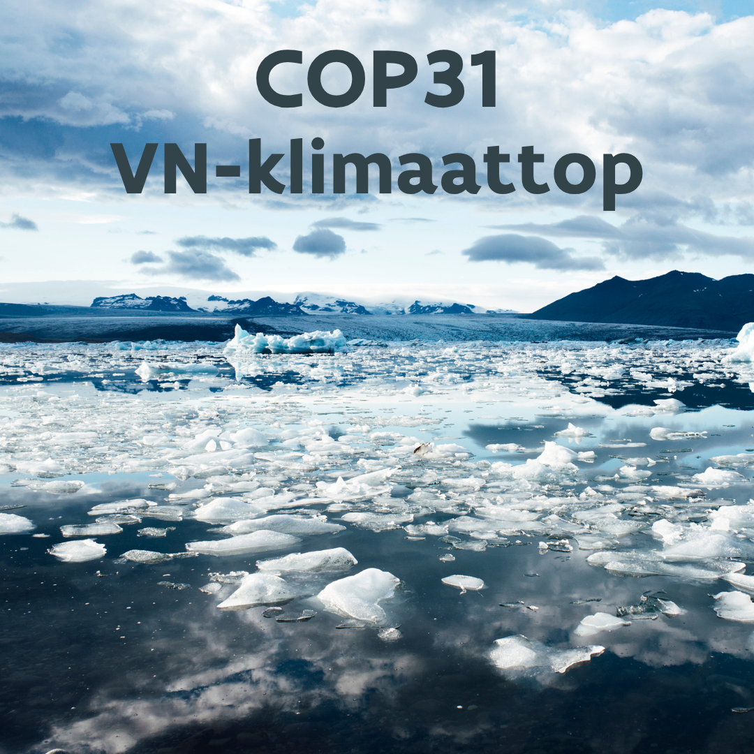 Richting COP31: Europees Parlement zet lijnen uit